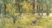 Grassy Glades of the Forest, Ivan Shishkin